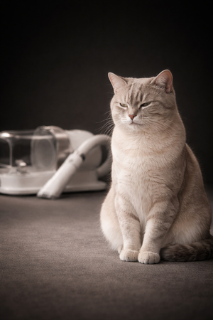 🐾 FeliPro™ 2-in-1 Tierhaarsauger & Pflege-Set, 2,3L